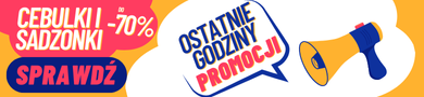 Ostatnie godziny przedsprzedaży