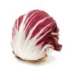 Cykoria sałatowa Palla Rossa 3