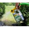 Nawóz do iglaków - Igłovit - gotowa do użycia konewka - Zielony Dom - 950 ml