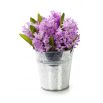 Hiacynt Splendid Cornelia - op. 3 szt.