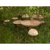 Czubajka kania w ogrodzie - grzybnia na ziarnie - na 50 - 80 m2