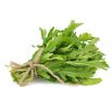 BIO Rukola - Certyfikowane nasiona ekologiczne