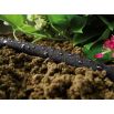 Wąż ogrodowy nawadniający DRIP - 1/2", 7,5m - CELLFAST
