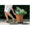 Podstawka z kółkami do przenoszenia dużych donic - 30,5 cm - terakota