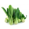 Kapusta chińska Pak-Choi