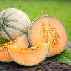 Melon Malaga F1
