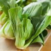 Kapusta chińska Pak-Choi