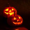 Dynia ozdobna Jack O'Lantern - jadalna
