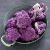 Kalafior Di Sicilia Violetto - o róży fioletowej