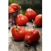 Pomidor Red Pear - wysoki