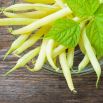 BIO Fasola szparagowa Fructidor - Certyfikowane nasiona ekologiczne