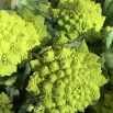 Kalafior Romanesco Natalino - o róży zielonej