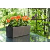 Kwietnik Begonia - 19 x 56 cm - rattan frappe