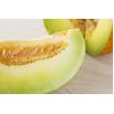 Melon Oliwin
