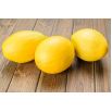 Melon Oliwin