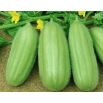 Ogórek melonowy Carosello Barese