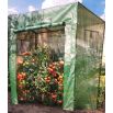 Szklarnia do pomidorów - 200 x 198 x 78 cm