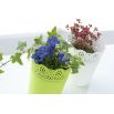 Osłonka z koronkowym wykończeniem, ażurowa Lace - 16 cm - limonka