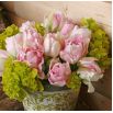 Tulipan Angelique - opak. 5 szt.