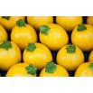 Cukinia One Ball F1