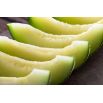 Melon Seledyn F1