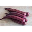 Okra, Ketmia jadalna Burgundy