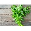 Seler listkowy Green cutting - na susz