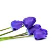 Tulipan niebieski - Blue - duża paczka! - 50 szt.