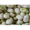 Bób Windsor Biały - 500 gram