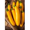 Cukinia Goldena