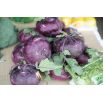 Kalarepa Delikates Blauer