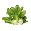 Kapusta chińska Pak-Choi Joi Choi