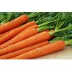 Marchew Koral - 50 gram