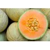 Melon Bosman