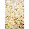 Nasiona na kiełki - Fasola Mung - 250 gram
