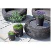 Doniczka okrągła + wkład Rato round - 20 cm - antracyt