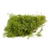 Koper ogrodowy Szmaragd - 100 gram