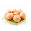 Cebula Yellow Sweet Spanish - słodka, hiszpańska cebula