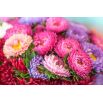 Aster - King Size - wysoki, nawet do 100 cm