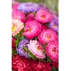 Aster - King Size - wysoki, nawet do 100 cm