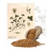 Koniczyna biała Grasslands Huia - 1 kg