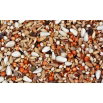Mieszanka strączkowo-paszowa na poplon - 5 kg