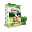 Gracja - mieszanka traw gazonowych o podwyższonych walorach estetycznych - Planta - 2 kg