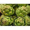 Karczoch Gros Vert de Laon
