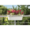 Skrzynka balkonowa z koronkowym wykończeniem, ażurowa Rosa - 50 cm - antracyt
