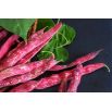 Fasola Flambo - szparagowa, nakrapiana