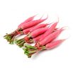 Rzodkiew Ostergruss Rosa 2 - letnia