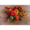 Pepper Mix - zestaw 1 - 8 odmian nasion papryki