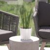 Doniczka okrągła Boardee Basic - 20 cm - biały
