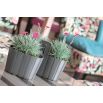 Doniczka naścienna Boardee Wall - 27,4 cm - kamienny szary
